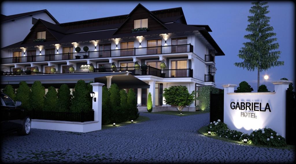 Hotel Gabriela Viseu de Sus Exterior photo